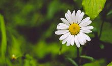 易鑫2019年11月8日生肖运势