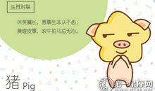 2019年猪年属猪的属相婚配表