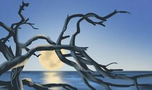 左手无名指长痣有什么特殊含义？