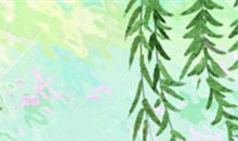 双鱼座恋情破产警钟