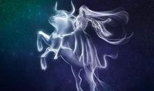 双子座和处女座配吗