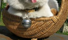 水瓶座的经商投资建议