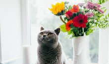 狂月今日运势2019年3月23日