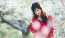 什么生肖最容易出财迷