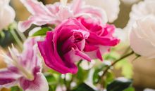 苏珊米勒2019年4月巨蟹座运势