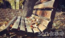 狂月每日运势2017年1月15日