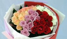 情人节送双子座女孩什么花