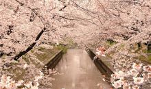 水瓶座：工作只为兴趣忙