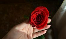 狂月今日运势2019年1月17日