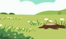 如何从身材看出一个人的性格气质