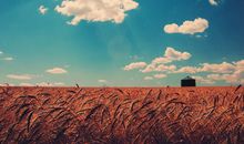 属鼠人的命运命理