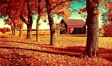 属虎人的命运命理