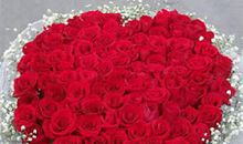 情人节送狮子座女孩什么花