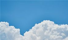 孕妇梦到万年青