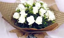 情人节送水瓶座女孩什么花