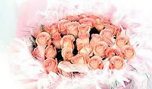 情人节送天蝎座女孩什么花