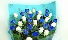 情人节送摩羯座女孩什么花