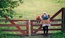狂月每日运势2017年11月10日