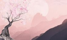 2019年生肖猪倒霉的时候如何转运