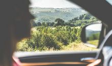 1975年属兔2019年运势及运程