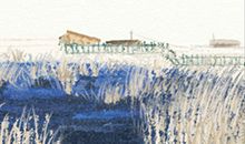 12生肖自行改命的十大妙法