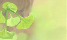 买新房要注意16个风水