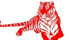 1974年属虎的人2019年运势及运程大全解析