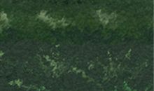 双鱼座女生喜欢什么样的男生