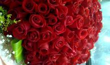 送给狮子座的推荐礼物