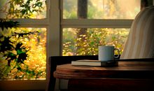 白羊评委的表现