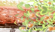 双鱼座的童心指数是多少？