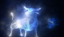 金牛男会选圈钱还是睡女人