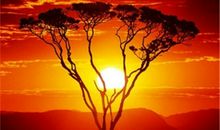 摩羯座的诗和远方