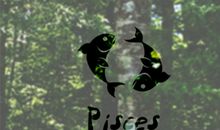 双鱼座被拐后会如何出逃