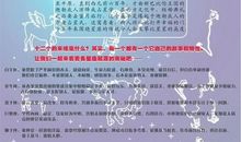 处女座与12星座的关系