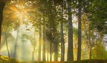 内心活在偶像剧中星座