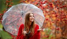 属马人何时遇到自己的正缘