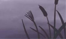 天秤座最怕的三件事