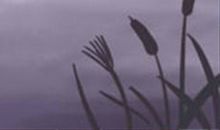 摩羯座最怕的三件事