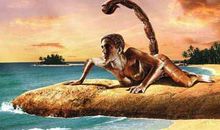 你是哪种传奇妖怪，天蝎座像梅杜莎