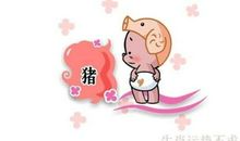 12生肖的爱情情结