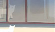 谁是金牛座的解忧贵人