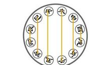 什么是八字中地支相害