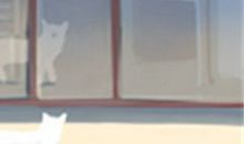 谁是双子座的解忧贵人