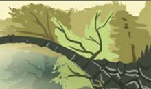 会与双鱼座共度一生的星座