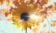 双子座靠什么说服别人