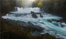 属鸡的历史名人有哪些