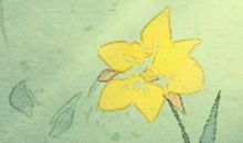 双子座如何表达不满情绪