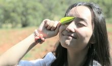 Lucia处女座2017年11月运势