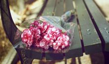 苏珊米勒2017年10月金牛座运势